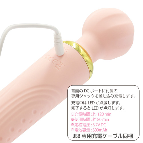 PS Stella パリススタイル ステラ画像2