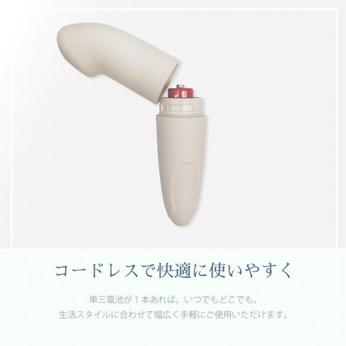 FemSTICK フェムスティック画像6
