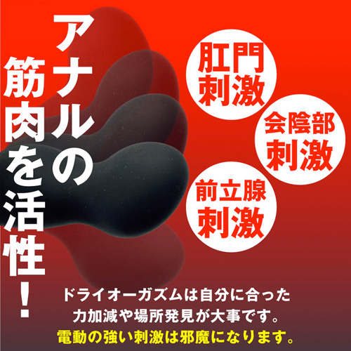 ANALyze ENEMA Mini α画像4