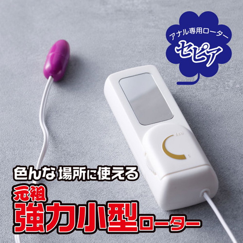 リニューアル セピアローター画像6