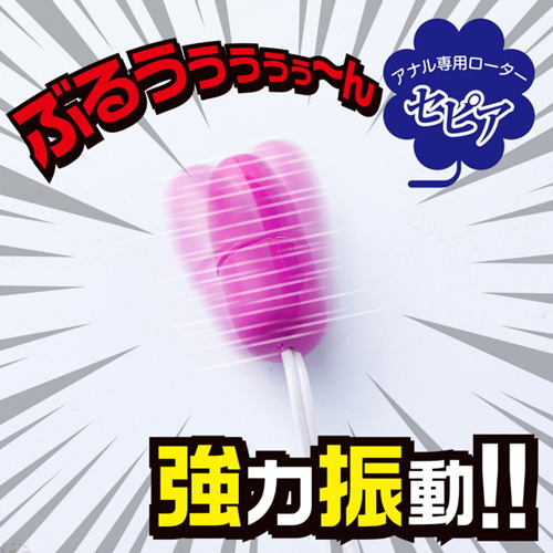 リニューアル セピアローター画像4