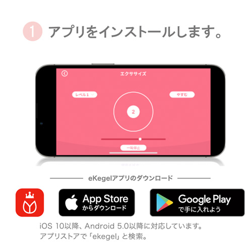 Femimate フェミメイト eKegel Lite イーケーゲルライト アプリ対応膣トレ画像2