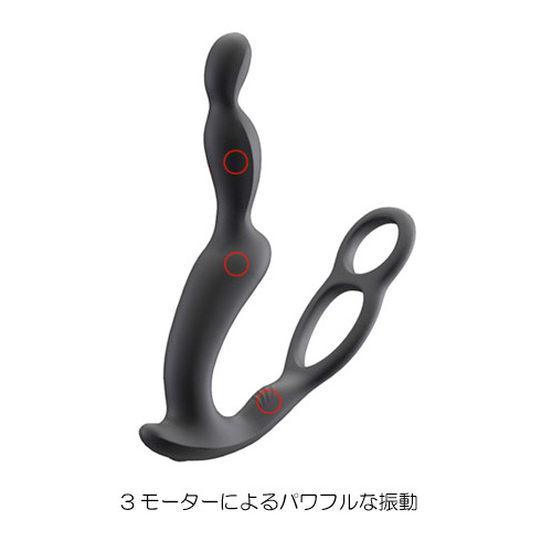 トリプルモーター プロステーター RC画像2