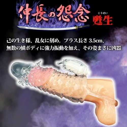 伸長の怨念 甦生画像3