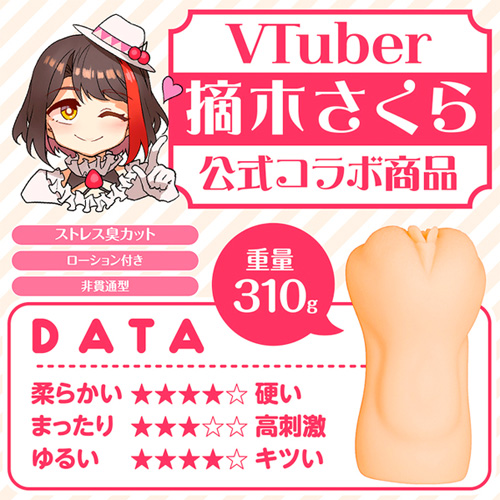 清楚系女子大生家庭教師 摘木さくら画像2