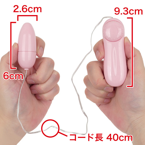 いつものローター画像2