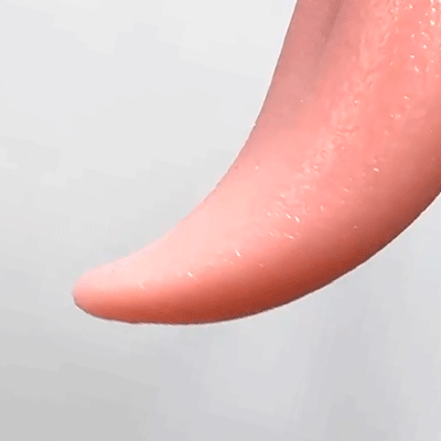 BEROSS ベロス画像7