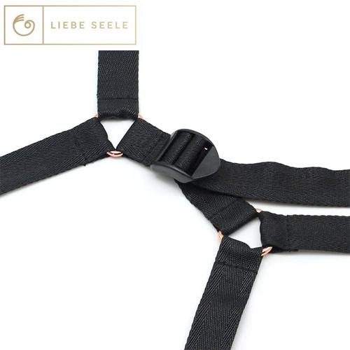 Liebe Seele リーベゼーレ ローズゴールド ベッドコウソクバンド ベッド拘束バンド画像2