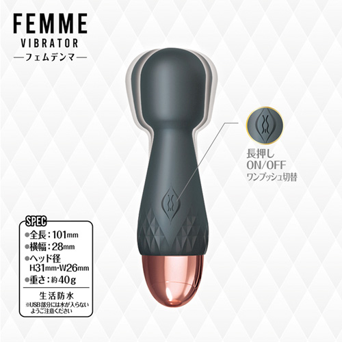 フェムデンマ画像3