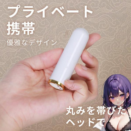 ゴールドライン スティックローター画像2