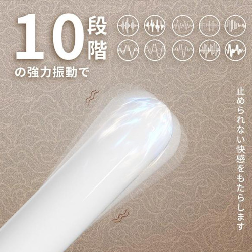 ゴールドライン スティックローター画像4