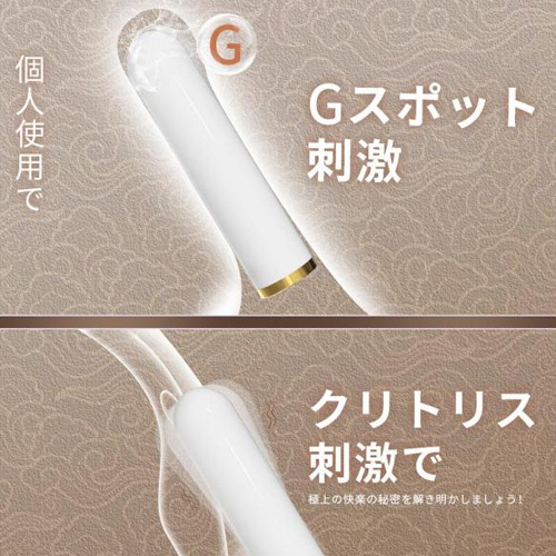 ゴールドライン スティックローター画像3