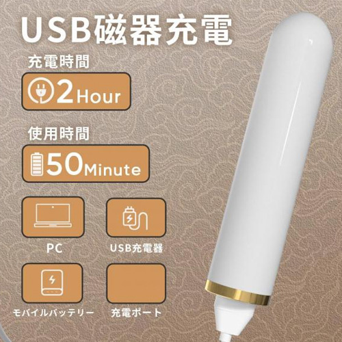 ゴールドライン スティックローター画像5