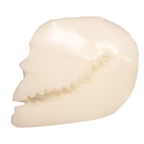 Skull Fucker画像6