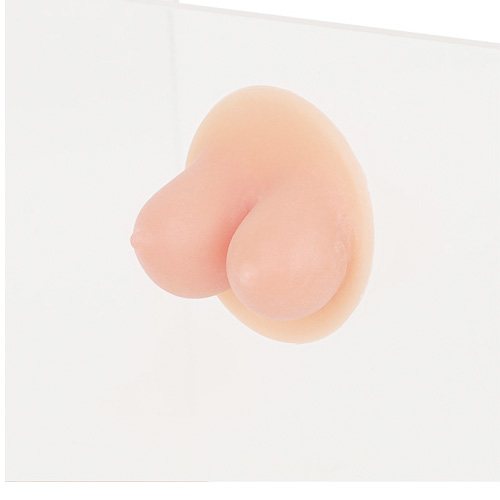 ちびぱい画像7