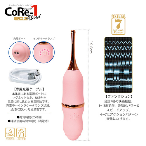 CoRe-1 コレイチ サード画像2