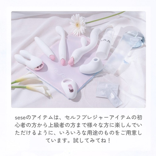 sese toy cleaner トイクリーナー画像5