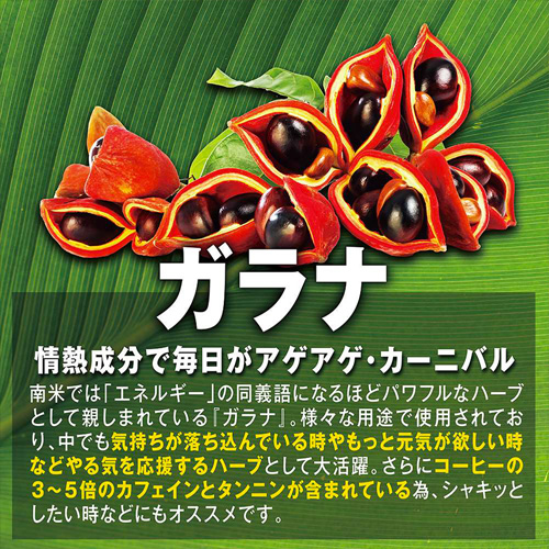 BIGマカ画像4