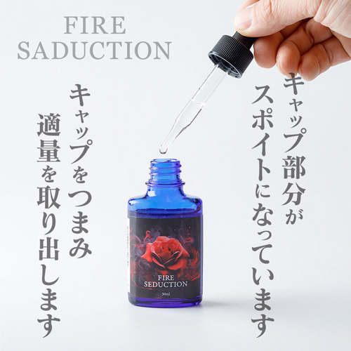 FIRE SEDUCTION ファイヤーセダクション画像3