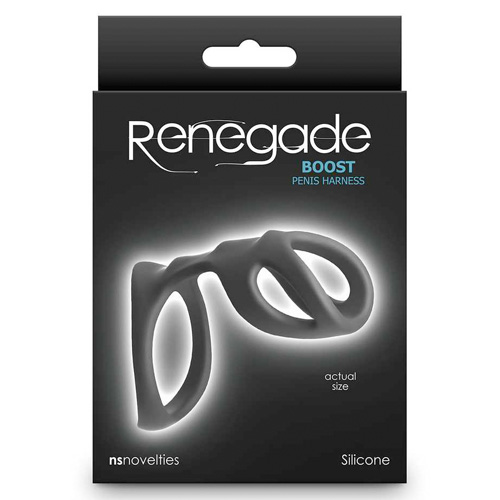 Renegade Boost画像4