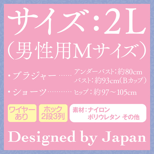 ワレメショーツ&ブラ おとこの娘用画像2