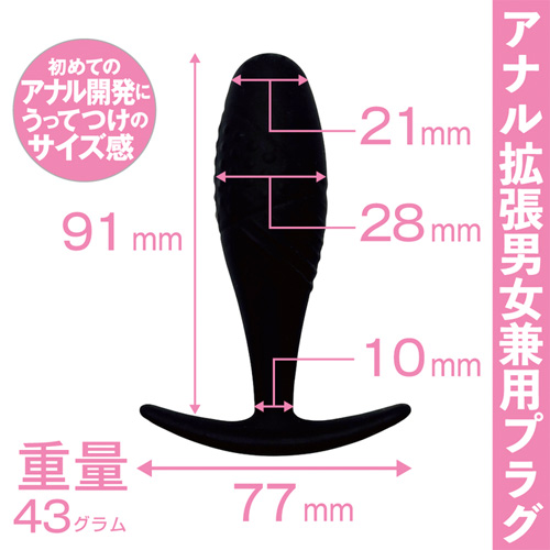 ANALyze Plug画像2