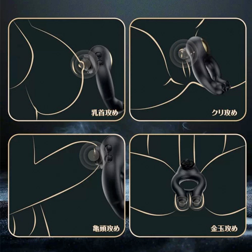 Toycod Abe画像5