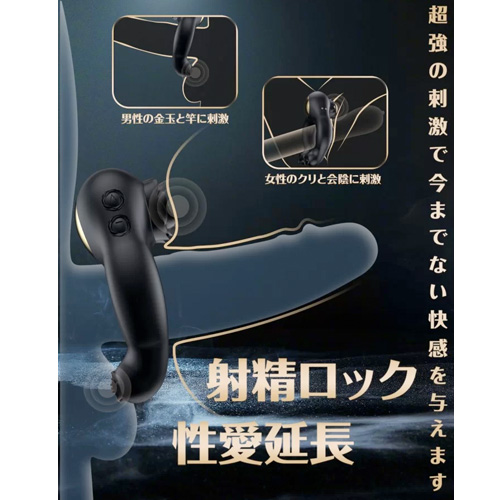 Toycod Abe画像4
