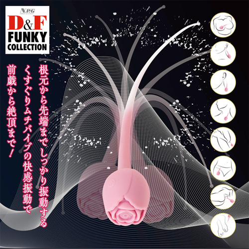 しなる極細スティックでピンポイント責め D＆F ファンキーコレクション DF-13画像3