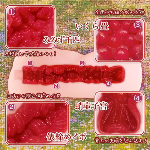 思春期エストラス画像3