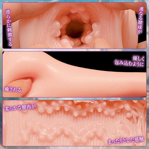 国辱の雌隷 THE HOLE シスターエイリス画像2