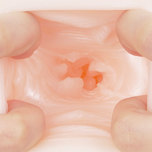 うねヒダ パイバウンド画像4