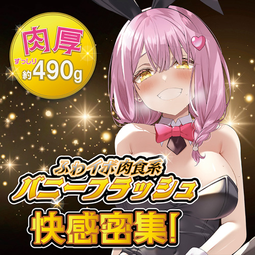 バニーフラッシュ画像4