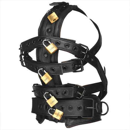 Lockable Head Harness with Muzzle画像5