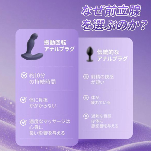 回転振動アナルプラグ画像4