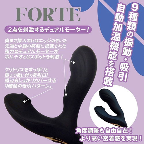 フォルテ ブラック画像3