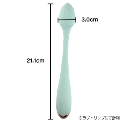 ロゼリズム画像6