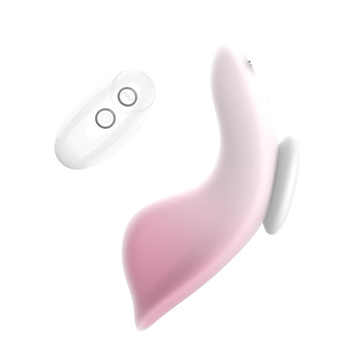 ぴたリモ画像2