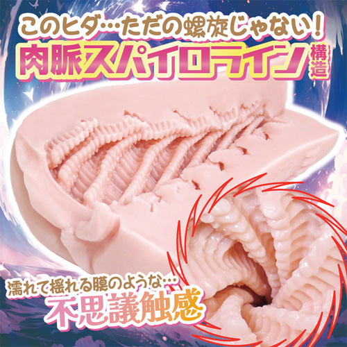 スパイナルスパイラル画像3