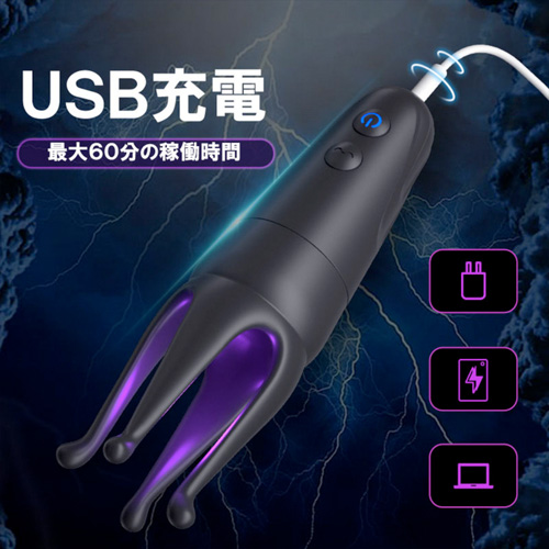 IKAS イカス画像6