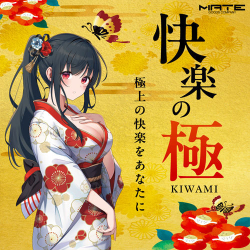快楽の極 KIWAMI画像4