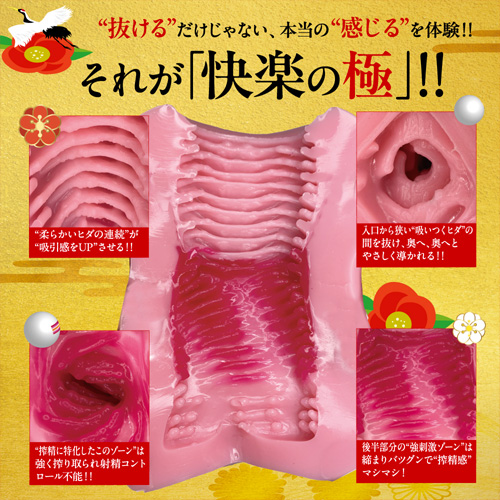 快楽の極 KIWAMI画像3