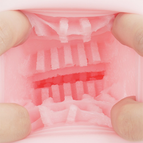 雌国四十八箇所巡礼 諭吉3枚で交尾し放題!画像4