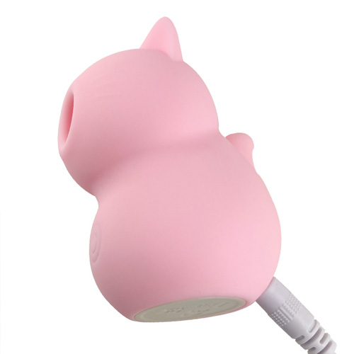 FEM CAT フェム キャット画像5
