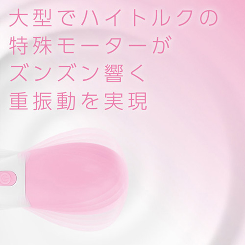 DENMA-ONE画像3