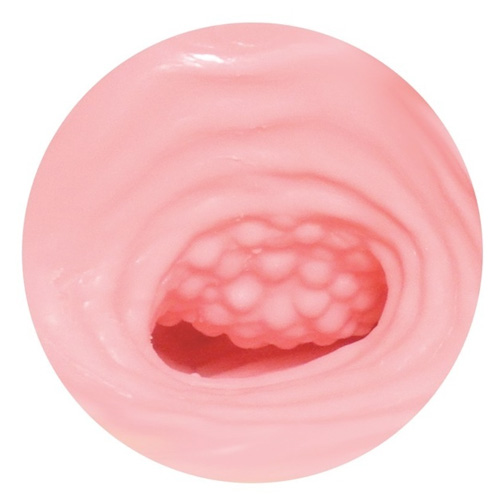 限定パッケージ セブンティーンエボソフト画像4