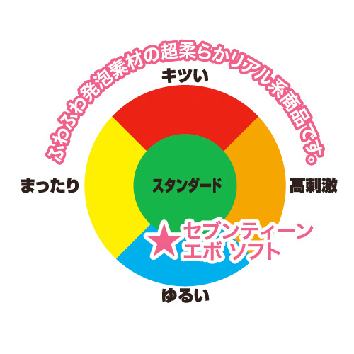 限定パッケージ セブンティーンエボソフト画像7