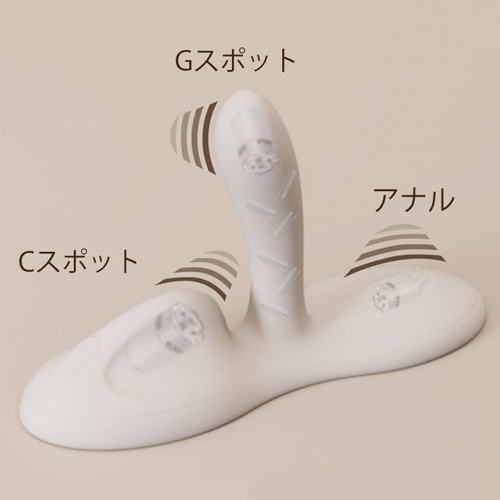 据置型 股がり式3点同時責めバイブ ZALO FLORA ザロ フローラ画像4