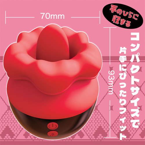 ベロビッチ画像5