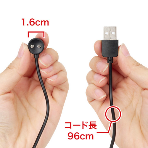 NEXUS シリーズ共通充電器 TYPE-A TYPE-C画像4